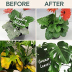 Organic Liquid Plant Food & Fertilizer – Indoor/Outdoor for Houseplants, Vegetables & Flowers, Monstera & Money Tree – OMRI Listed, Pollinator Safe – Easy Weekly Mix (Nutrition & Health Set)