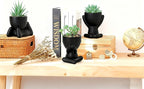 ALAGIRLS 3pcs Fake Green Succulents Plant Sets,Plastic Artificial Plant Decor Indoor Small Potted Faux Succulents for Bathroom Living Room Office