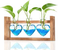 Nacome Plant Terrarium Propagation Stations: Mothers Day Gifts for Mom Plant Lovers Women Wife Daughter - 3 Bulb Glass Vase with Wooden Stand Tabletop for Hydroponics Home Garden Wall Decor