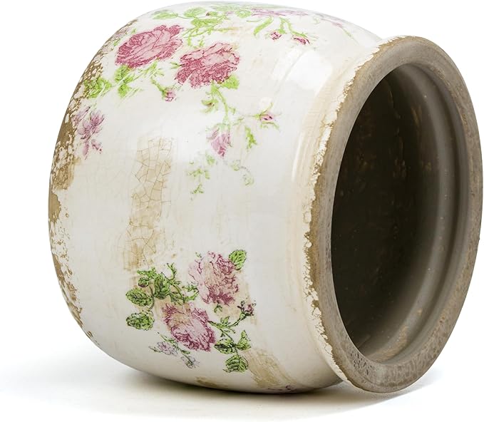 Dosayes Flower Pot,Vintage Ceramic Pot for Planter with Drainage Holes, 6.29 inch Ice Crack Glazed Indoor Planters Pot for Indoor,Tuscan Home Decor,Gardening Gifts (Garden)