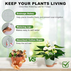 Vanslogreen Plant Pots Indoor 7/6.5/6/5.5/5 Inch Self Watering Planters for Indoor Plants with Drainage Hole, Plastic Flower Pots for Succulents, African Violet (Green)
