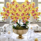 DILATATA Artificial Orchid Flowers 9 Large Heads of Real Touch Vivid Phalaenopsis Orchid Flower Stem 36'' Tall, Artificial Flowers Branches for Home Decor, Office House Decor-Yellow Orchids Flowers