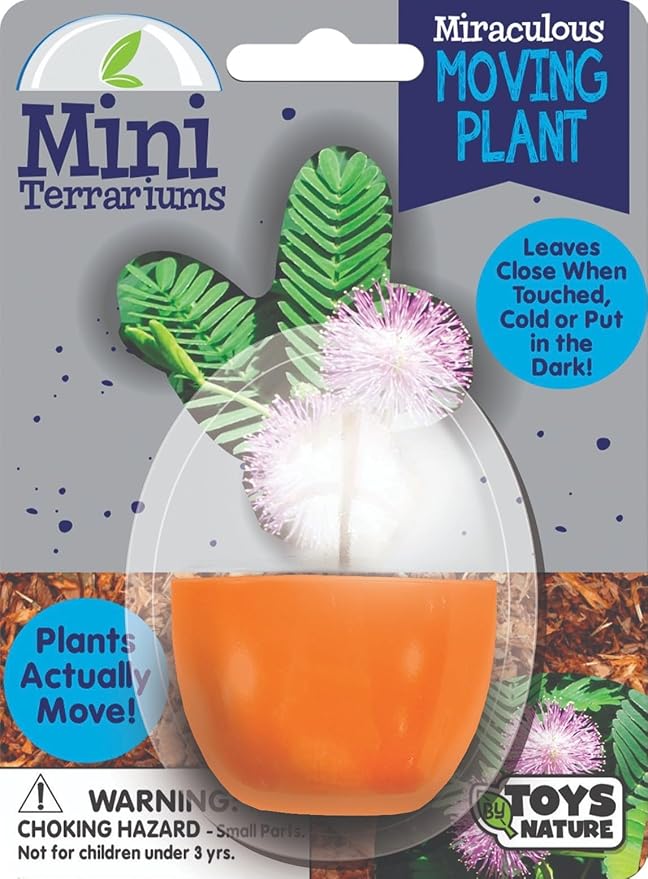 Toys By Nature Mini Terrarium Moving Plant Bundle, 100% USA Made Complete Starter Kit for Indoor Planting, Interactive Gardening Experience and Easy to Grow Seeds Just Add Water, 5-Pack