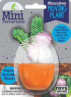 Toys By Nature Mini Terrarium Moving Plant Bundle, 100% USA Made Complete Starter Kit for Indoor Planting, Interactive Gardening Experience and Easy to Grow Seeds Just Add Water, 5-Pack