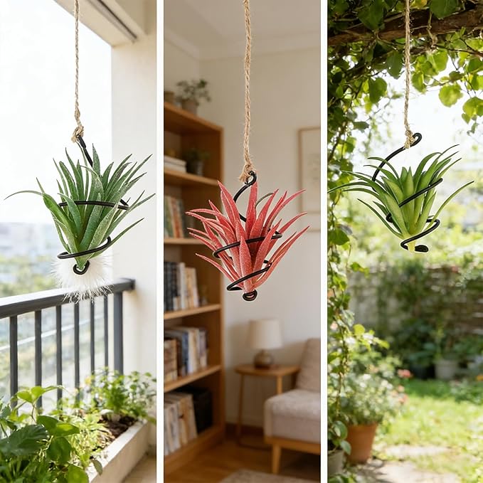 6 Pack Hanging Air Plant Holder, Spiral Wire Metal Hangers for Tillandsia, Adjustable Geometric Airplants Stand with Jute Ropes, Minimalist Wall Window Home Decor, Black Finish