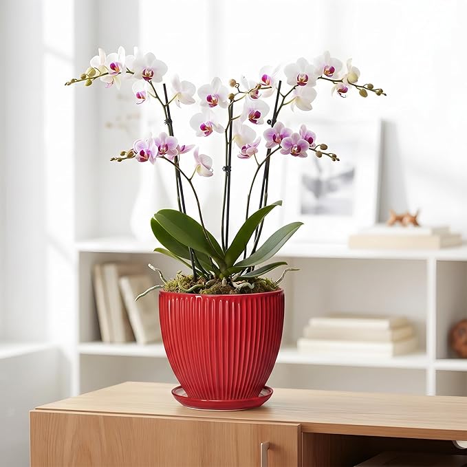 Ceramic Flower Pots 8 Inch, Ceramic Planters for Indoor House Plants, Decorative Plant Pots with Drainage Hole and Saucer, Modern Round Planter, Office Decor, Gifts for Men Women, Red