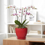 Ceramic Flower Pots 8 Inch, Ceramic Planters for Indoor House Plants, Decorative Plant Pots with Drainage Hole and Saucer, Modern Round Planter, Office Decor, Gifts for Men Women, Red