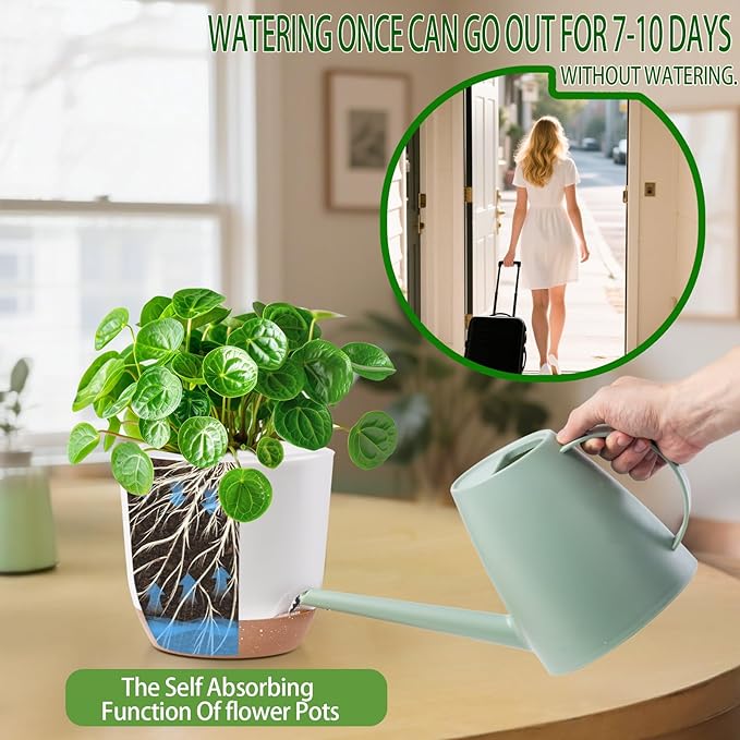 Self Watering Orchid Pots for Indoor Plants,5.8 Inch Macetas para Orqudeas,Flower Pots for Indoor Plants with Holes(White)