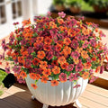 Artificial Fake Mums Fall Flowers for Outdoors Decoration,12 Bundles Faux Silk Daisy Flowers for Outdoor Planter UV Resistant Look Real for Home Front Door Porch Patio Outside Yard(Orange Brown)