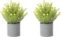 2 Pack Small Desk Plants, Artificial Bathroom Plants Decor with Thyme Flower in Vintage Melamine Pots, Faux Plants Indoor for Shelf Decor in Home Office, and Spring Decor (Yellow)