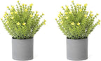 2 Pack Small Desk Plants, Artificial Bathroom Plants Decor with Thyme Flower in Vintage Melamine Pots, Faux Plants Indoor for Shelf Decor in Home Office, and Spring Decor (Yellow)
