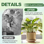 8pcs Upgraded Plant Stem Support, Transparent Plant Support for Indoor Plants, 4 Sizes Climbing Houseplant Stem Holders, Reusable Plant Stabilizer, Indoor Plants Accessories