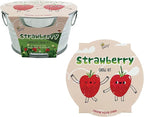 BUZZY Seeds Mini Basin Gardening Kit with Strawberry Seeds for Planting, Flowering Fruit Starter Set, Indoor Plants, DIY Plant Project, Party Favor
