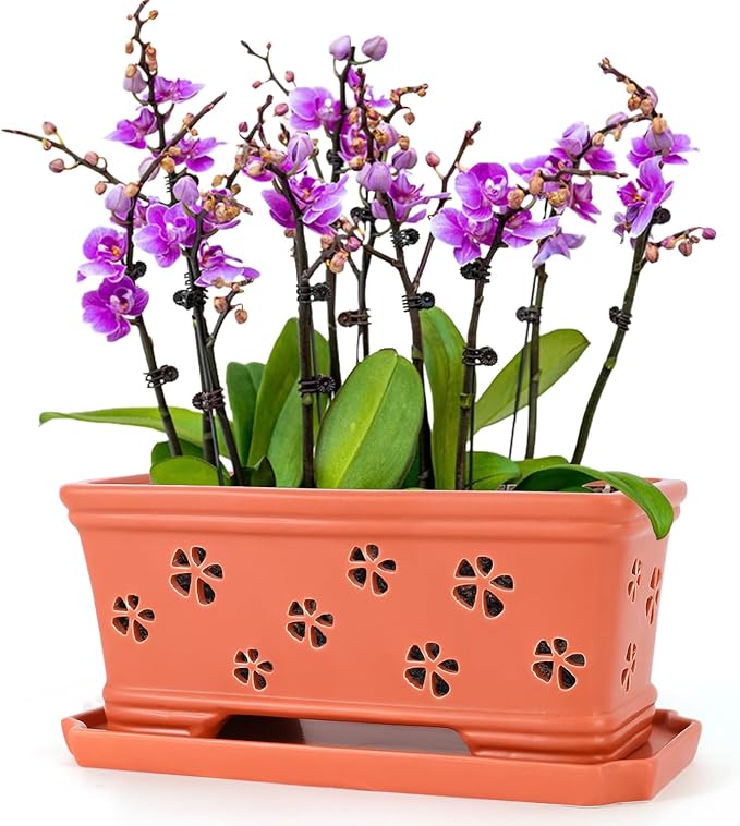 12 * 6.3 * 5.3 Inch Rectangle Ceramic Orchid Pot with Holes & Saucer - Red Effective Drainage & Ventilation for Indoor Orchids
