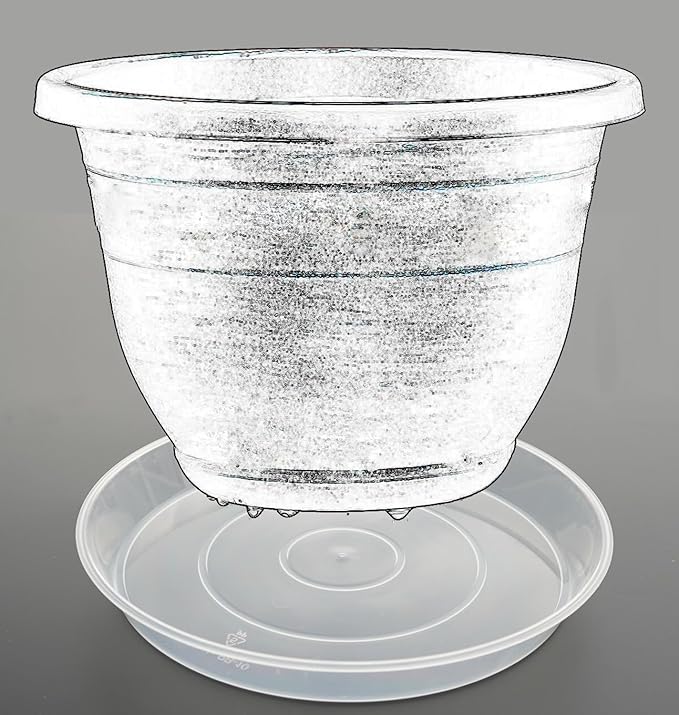 LWALRS Plant Saucer Tray 10 inch, 6 Pack Plastic Plant Saucers for Indoors Outdoor, Heavy Duty Drainage Drip Water Trays for Planter Pots Flower, Flower Saucers for Pots Base (10", Clear)