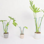 Indoor Plant Stakes – 8.7" U-Shaped Durable Iron Support for Monstera & Potted Plants, Perfect for Small to Medium Climbing Plants, 10-Pack, Ideal for Home Décor & Plant Lovers