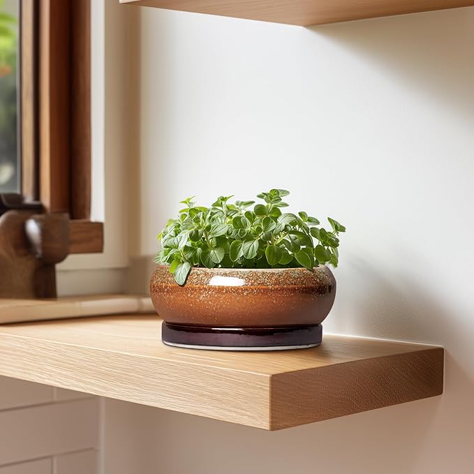 Succulent Pots - 6 Inch Ceramic Bonsai Pots with Drainage Hole and Tray, Succulent Planters for Indoor Outdoor, Shallow Round Planter, Cactus Pot, Desk Decor, Plant Lover Gifts, Retro Brown