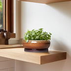 Succulent Pots - 6 Inch Ceramic Bonsai Pots with Drainage Hole and Tray, Succulent Planters for Indoor Outdoor, Shallow Round Planter, Cactus Pot, Desk Decor, Plant Lover Gifts, Retro Brown