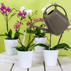 Fasmov Plastic Watering Can, 1-Gallon, Deep Gray