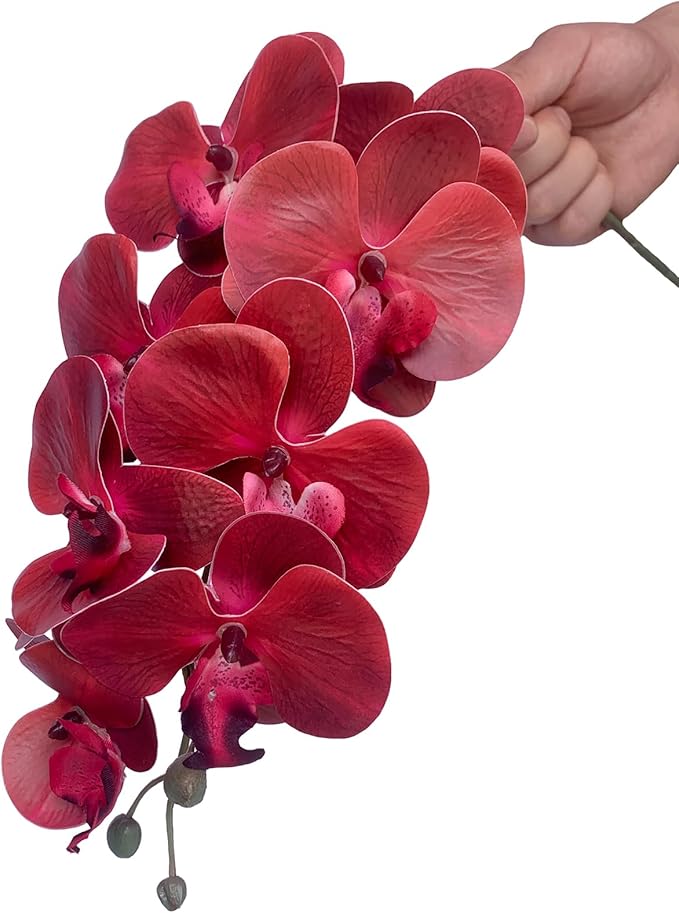FagusHome 32 Inch Artificial Phalaenopsis Flowers 6 Pcs Artificial Orchid Flowers Stem Plants for Home Décor (Red)