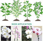 Orchid Clips, ARRITZ 100pcs Garden Plant Clips for Vines Flowers Keep Stems Vines Flowers Grow Upright