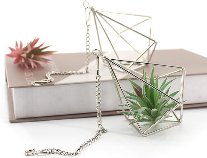 Geometric Silver Iron Air Plant Hangers and Stands Set - 2 Hanging with Chains + 4 Tabletop Holders for Tillandsia, Succulents, Modern Home Decor, Wall or Desk Display