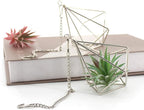 Geometric Silver Iron Air Plant Hangers and Stands Set - 2 Hanging with Chains + 4 Tabletop Holders for Tillandsia, Succulents, Modern Home Decor, Wall or Desk Display