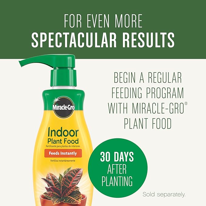 Miracle-Gro Houseplant Potting Mix - Fertilized Indoor Plant Soil for Containers, Designed to be Less Prone to Gnats, 4 qt. (3-Pack)