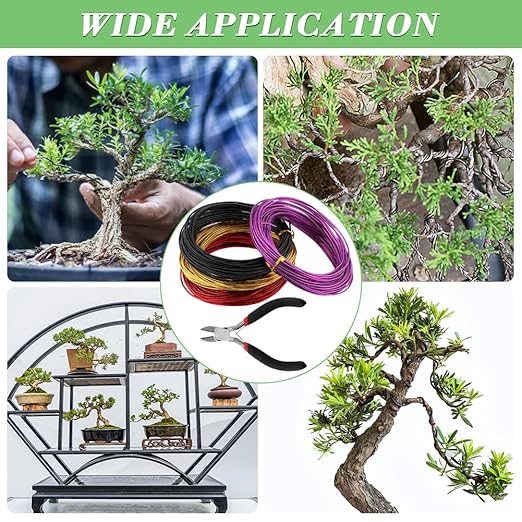 4 Roll Bonsai Wire,with Hand Plier Aluminum Bonsais Training Wire Anodized Aluminum Bonsai Wire Tools for Fine Trunk & Branch Control(Size:4 Roll)