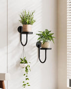 Bamworld Hanging Planters for Indoor Plants Wall Plant Holder Plant Hanger Indoor Wall Planters Window Plant Shelves Hanging Plant Holder Window Plant Hanger Plant Decor Black 2pc