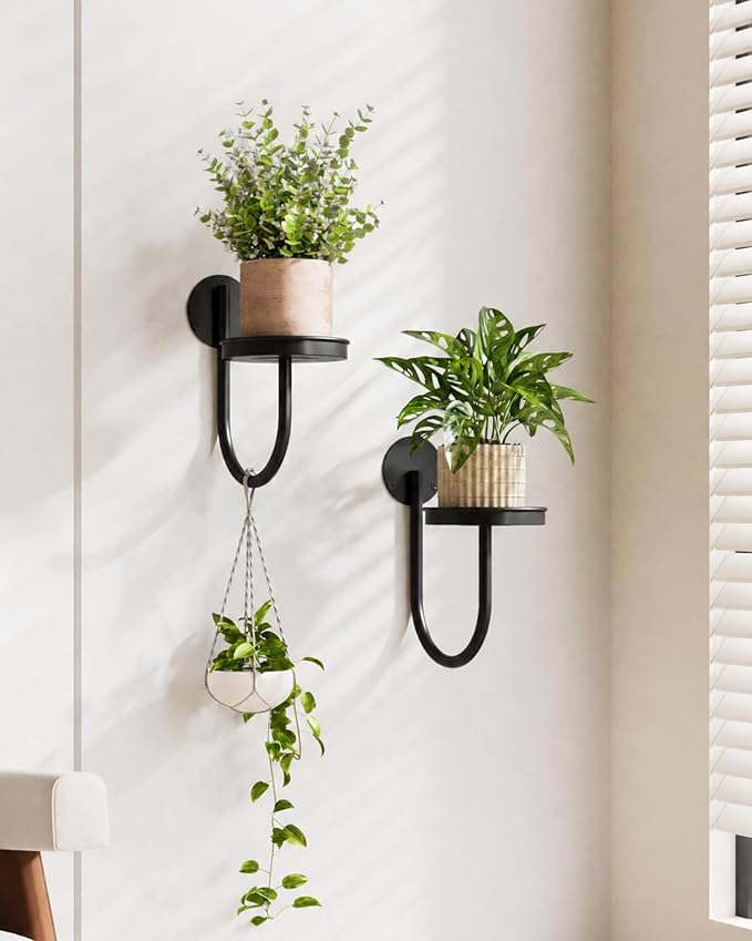 Bamworld Hanging Planters for Indoor Plants Wall Plant Holder Plant Hanger Indoor Wall Planters Window Plant Shelves Hanging Plant Holder Window Plant Hanger Plant Decor Black 2pc