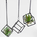 6 Pack Metal Hanging Air Plant Holders - Geometric Black Cube Tillandsia Hangers with Long Chains, Wall or Ceiling Mount for Small Air Plants, Home & Office Boho Decor (Individual or Combined Use)