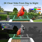 Smart Bird Feeder with Camera: Solar Powered Birdhouse with AI Recognition, Wireless Bird House with Camera for Outdoor, Unique Birthday Gifts for Mom Dad