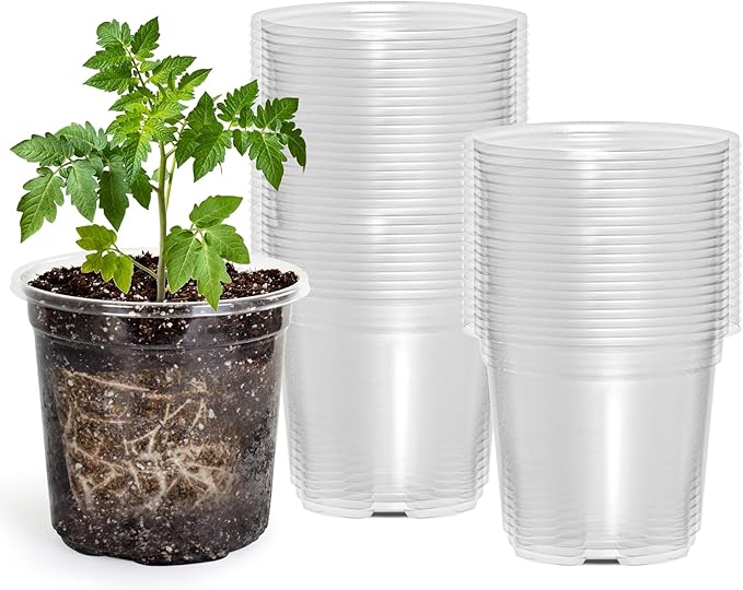 Bluepro 50 Packs 4 Inch Reinforced Clear Nursery Pots with Drainage Holes, Transparent Plastic Plant Pot Seedling Planter for Vegetable Propagation, Root Cutting, Seed Starting