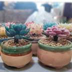 FANTIAN 5 lbs Maifanitum Stones for Succulent,1/4 Inch Decorative Rocks for Indoor Plants, Bonsai, Soil Cover. Small Stones for Promote Soil Root Growth, Water Drainage and Plant Growth(5-8 mm)