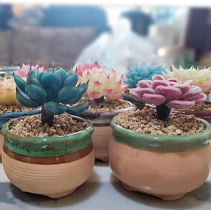 FANTIAN 5 lbs Maifanitum Stones for Succulent,1/4 Inch Decorative Rocks for Indoor Plants, Bonsai, Soil Cover. Small Stones for Promote Soil Root Growth, Water Drainage and Plant Growth(5-8 mm)