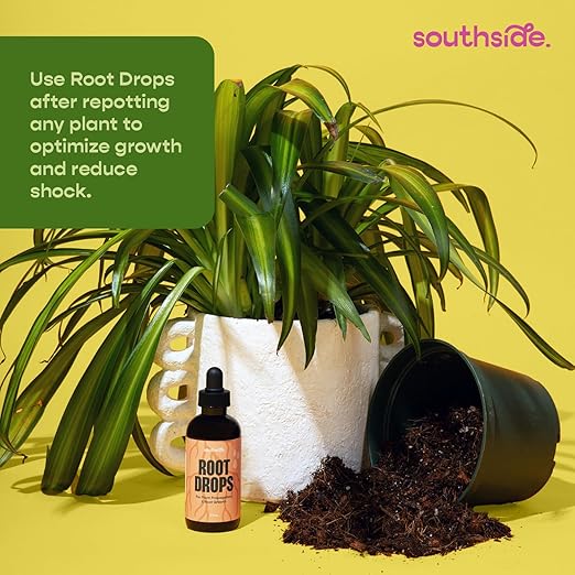 Root Drops - Liquid Rooting Vitamins | Fast Propagation, Stronger Roots, Less Shock | Works in Water, Soil, Leca, Moss | for All Indoor Houseplants Like Pothos, Monstera, Philodendron (4 oz)