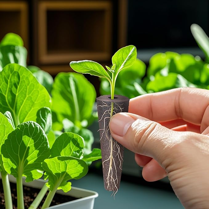 Doter 100 pcs Grow Sponges for Hydroponics Compatible with AeroGarden, Hydroponics Growing System Pods, General Hydroponics Rapid Rooter, Starter Plug for Seeds or Cuttings