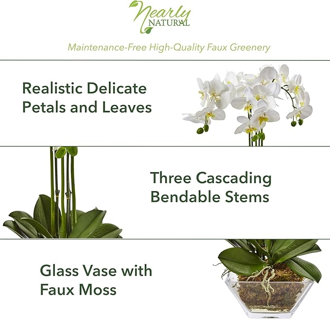 Nearly Natural 4570 Triple Phalaenopsis Orchid in Glass Vase,Green/White
