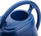 Fasmov 1-Gallon Plastic Watering Can with Comfortable Handle, Garden Watering Cans Long Spout for Indoor Outdoor Watering Plants, Blue
