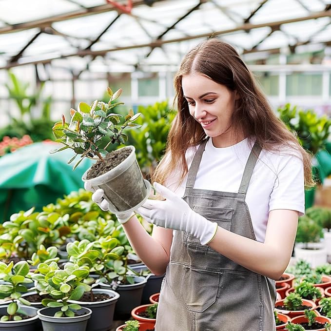 8 pcs 5/6/7/8 inch Large Clear Nursery pots for Plants with Saucers,Thick Plastic Nursery pots for Plants with Drainage Holes for Monstera Plant Live,Ariod,etc