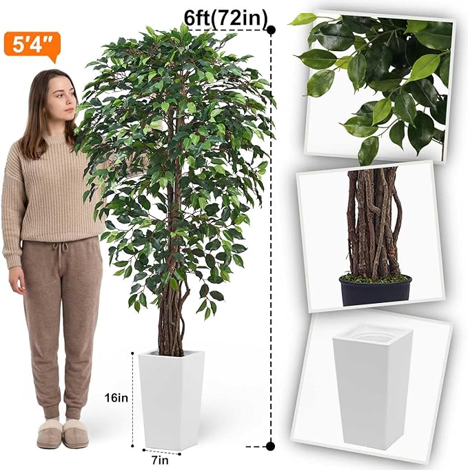 Aveyas 6ft Artificial Ficus Tree for Home Decor with White Pot, 6 Feet Faux Plant Fake Silk Trees for Indoor Outdoor House Living Room Office Garden (6 ft Tall Including Raised Pot)