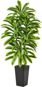 Artificial Yellow Dracaena Tree - 6FT Tall Fake Plants with Black Planter - Artificial Plants Indoor Floor Plant in Pot - Large Tropical Fake Yucca Potted Tree for Home Office Living Room Decor