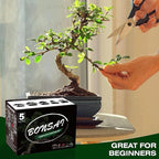 Indoor Bonsai Starter Kit - 5 Seeds Growing Complete Set with Gardening Tools for Beginners, Home DIY Mini Garden Gift for Adults