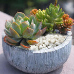 FANTIAN 2 Pounds White Pebbles for Indoor Plants, 3/8 Inch Polished White Rocks, Decorative River Rocks for Potted Plants Vase Cactus Bird Bath and Outdoor Garden Landscaping