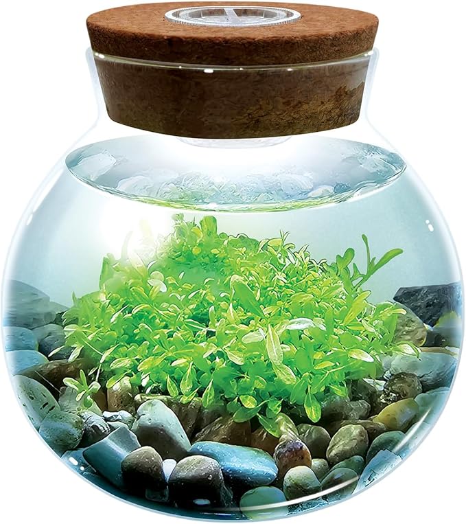 WaterPlants- Create Your Own Lush and Soothing Aquascape Terrarium Starter Kit, Indoor Plant Glass Globe Terrariums with Powerful 3 LED Light and Complete Supplies, Just Add Water!