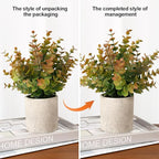 2 Pack Small Fake Plants Eucalyptus Potted Artificial Plants for Shelf Desk Home Bathroom Farmhouse Room Coffee Table Decor Fall Decor (Yellow)