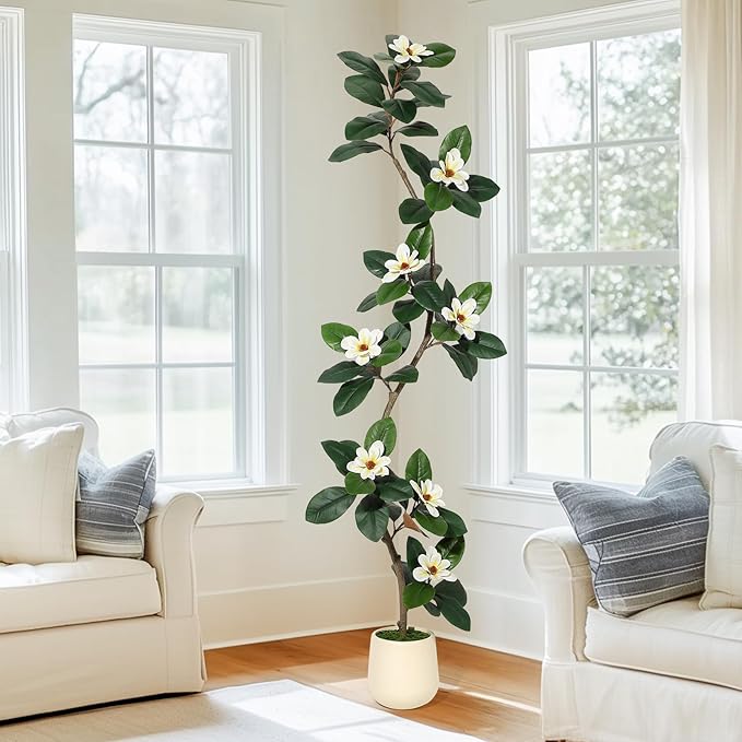 7ft Artificial Rubber Tree with 8 Pcs Magnolia Flowers,Tall Fake Tree with White Planter and Moss Decor,Faux Plants Indoor for Home Living Room Porch Decor