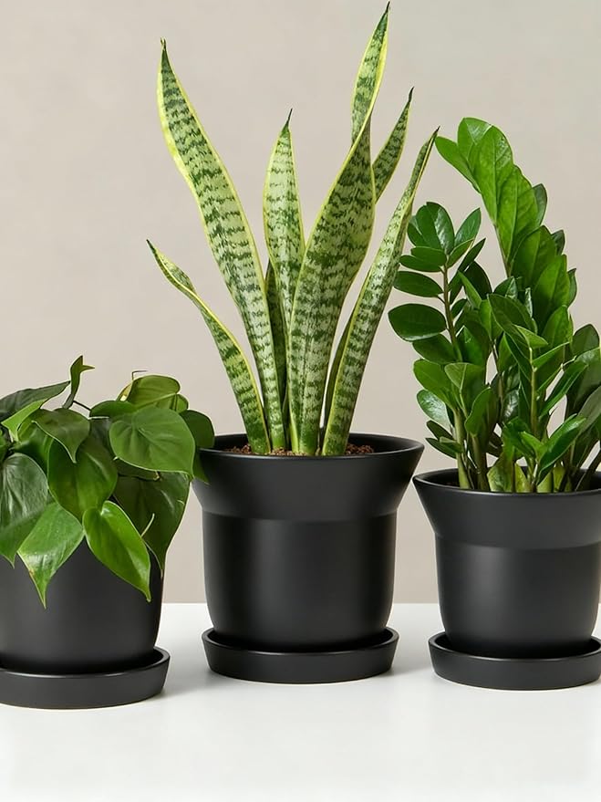 Bamworld Plant Pots Planters for Indoor Plants Flower Pots with Drainage Holes 3.5/4.9/6.3 Inch Set of 3 Plastic Planters for Outdoor Plants Garden Office Room Home Decor Textured Black