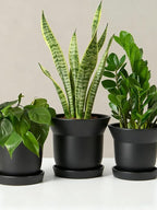 Bamworld Plant Pots Planters for Indoor Plants Flower Pots with Drainage Holes 3.5/4.9/6.3 Inch Set of 3 Plastic Planters for Outdoor Plants Garden Office Room Home Decor Textured Black
